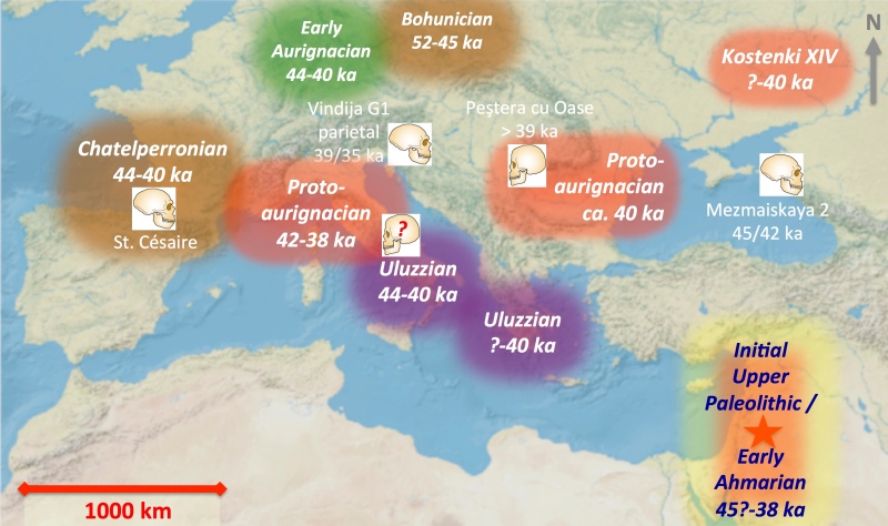 The Protoaurignacian Technological Systems in Broader Early Upper Paleolithic Context
